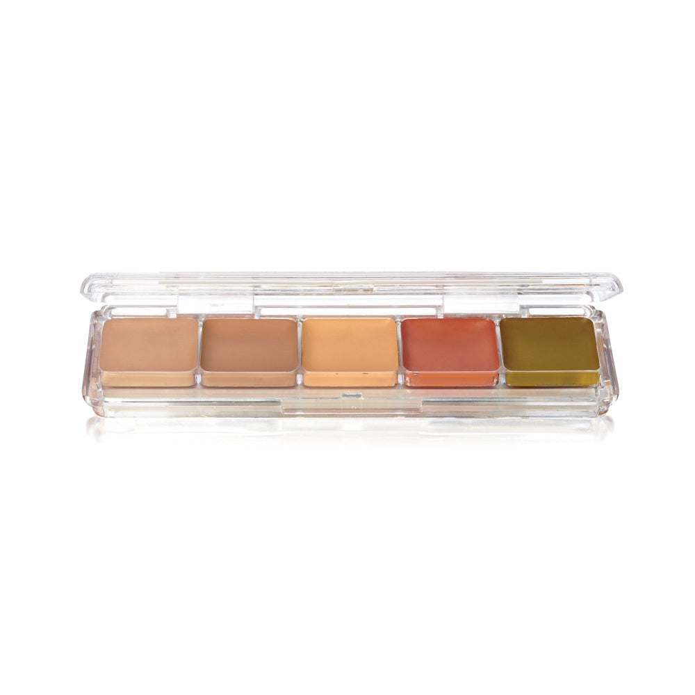 BN Concealer & Adjuster Alcohol Palette