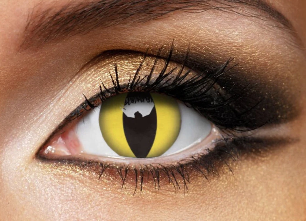 Cat's Eye