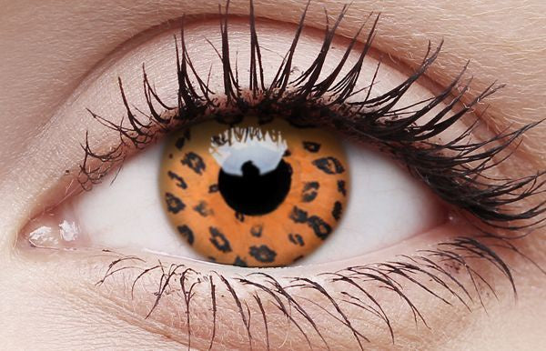 Colourvue Yellow Leopard