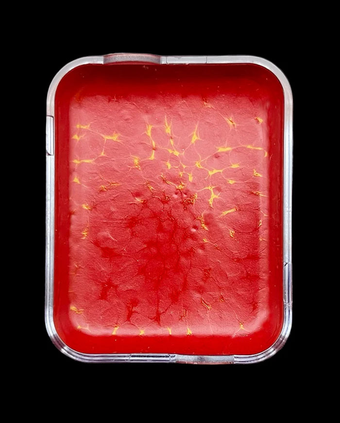 PPI Skin Illustrator Flesh Tone Individual Cells