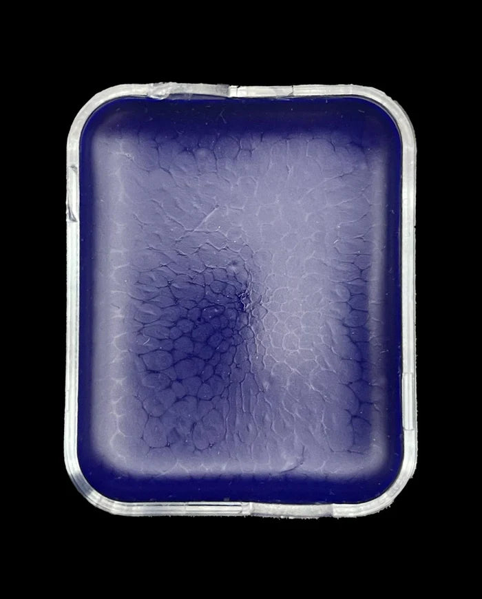 PPI Skin Illustrator FX Palette Individual Cells