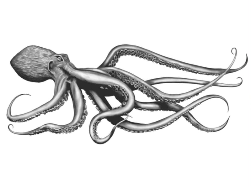 HookUp Tattoo Octopus