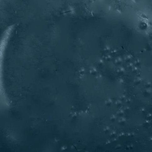 PPI Skin Illustrator Alcohol Inks