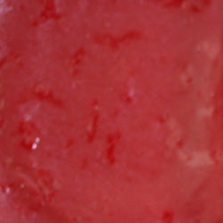 PPI Skin Illustrator Alcohol Inks