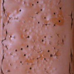 PPI Skin Illustrator Alcohol Inks