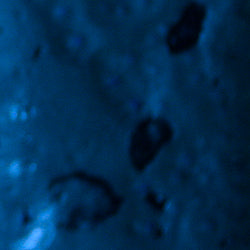 PPI Skin Illustrator Alcohol Inks