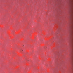 PPI Skin Illustrator Alcohol Inks