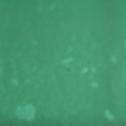 PPI Skin Illustrator Alcohol Inks