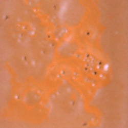 PPI Skin Illustrator Alcohol Inks