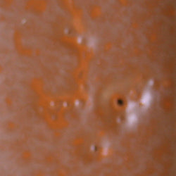 PPI Skin Illustrator Alcohol Inks