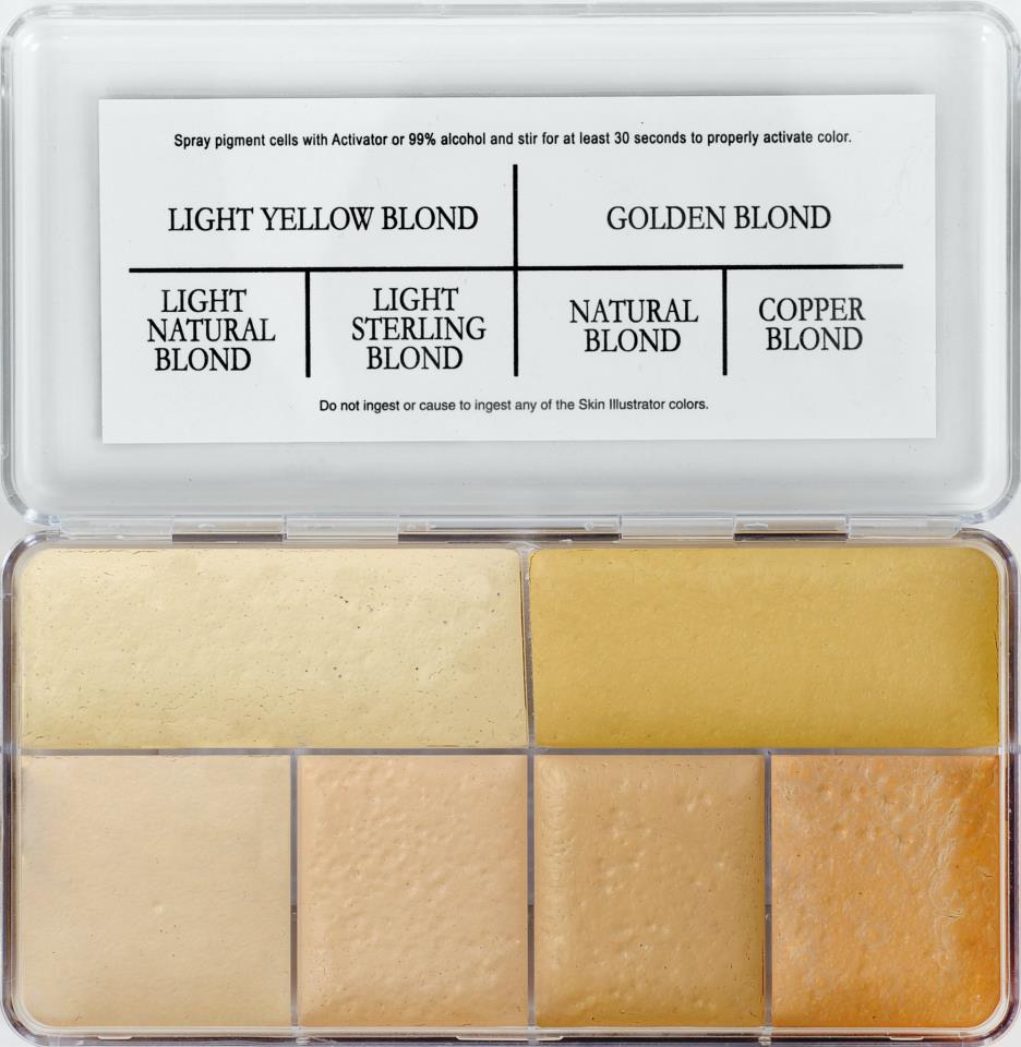 PPI Skin Illustrator Hair Aging Warm Palette