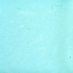 PPI Skin Illustrator Alcohol Inks