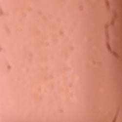 PPI Skin Illustrator Alcohol Inks