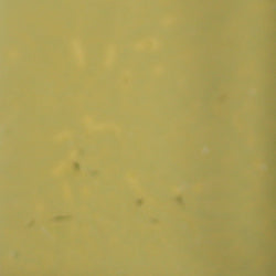 PPI Skin Illustrator Alcohol Inks