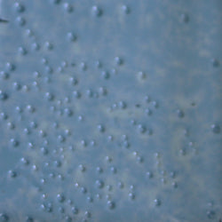 PPI Skin Illustrator Alcohol Inks