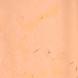 PPI Skin Illustrator Alcohol Inks