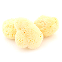Scotty's Professional Natural Sea Sponge
